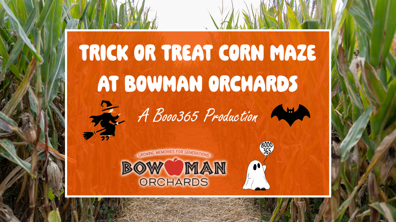 trick or treat corn maze