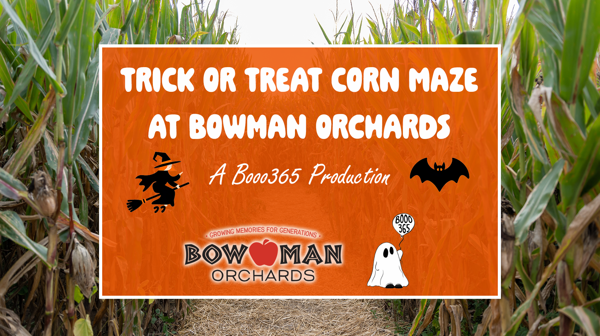 trick or treat corn maze
